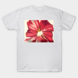 Magenta Floral T-Shirt